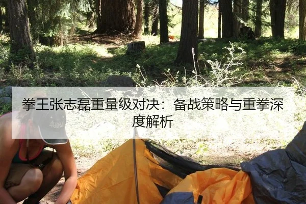 拳王张志磊重量级对决：备战策略与重拳深度解析