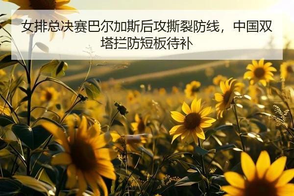 nv-pai-zong-jue-sai-ba-er-jia-si-hou-gong-si-lie-fang-xian-zhong-guo-shuang-ta-lan-fang-duan-ban-dai-bu-3-826.jpg