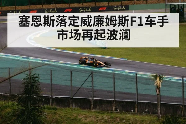 塞恩斯落定威廉姆斯F1车手市场再起波澜