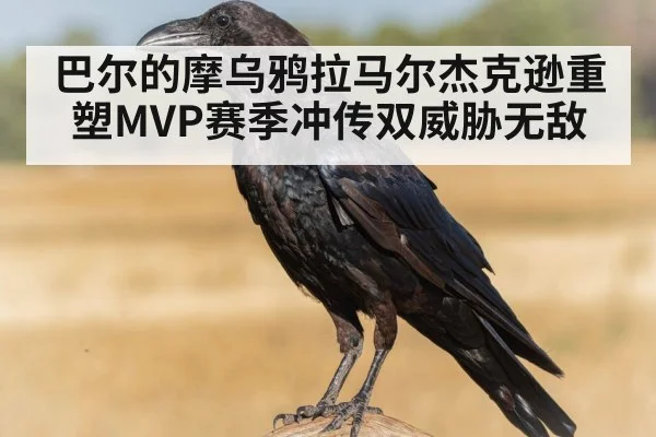 巴尔的摩乌鸦拉马尔杰克逊重塑MVP赛季冲传双威胁无敌