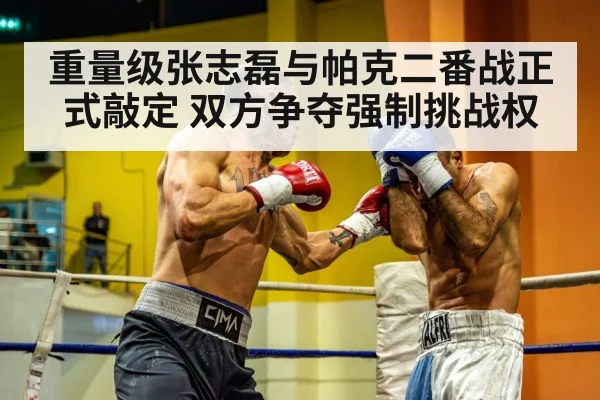 重量级张志磊与帕克二番战正式敲定 双方争夺强制挑战权